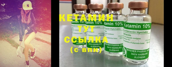 шишки Осинники