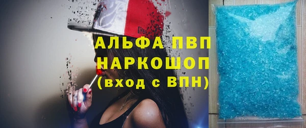 шишки Осинники