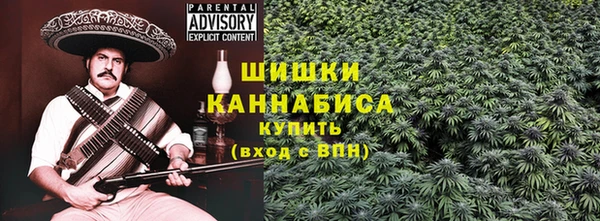 шишки Осинники