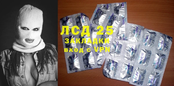 шишки Осинники