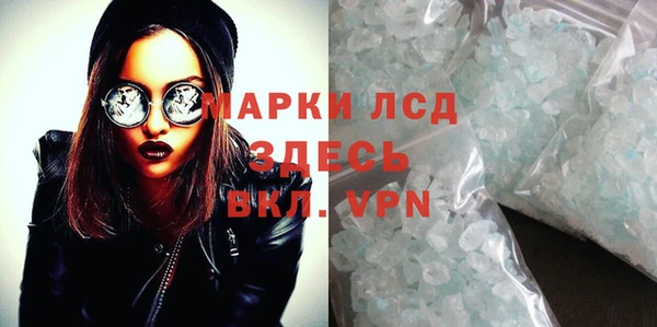 шишки Осинники